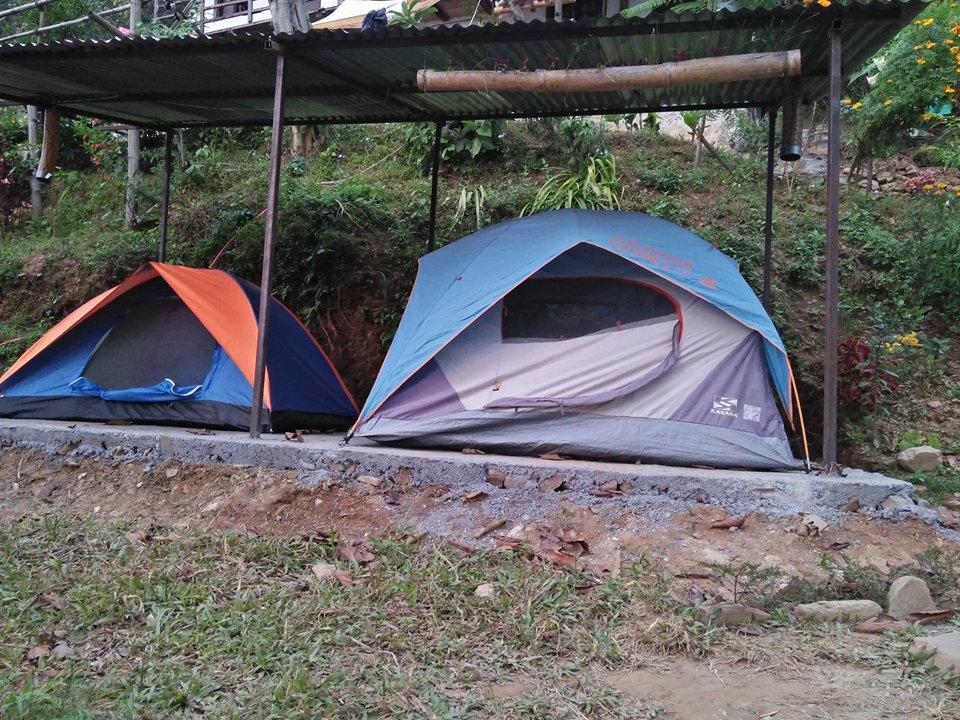 Peace Guest House بوكْرا المظهر الخارجي الصورة